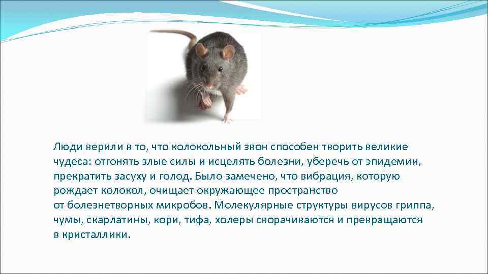 Люди верили в то, что колокольный звон способен творить великие чудеса: отгонять злые силы