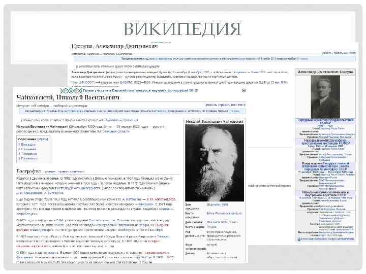 ВИКИПЕДИЯ 