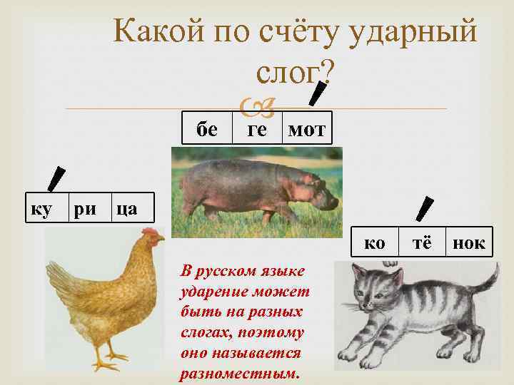Какой по счёту ударный слог? бе ку ри мот ге ца ко В русском