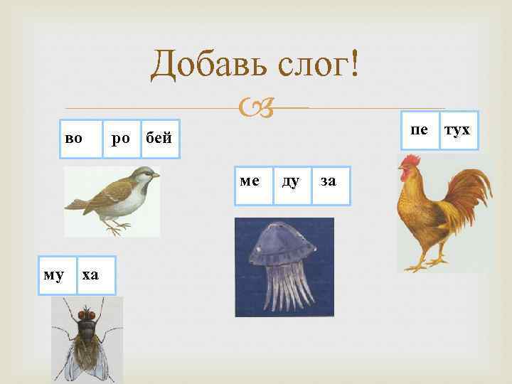 Добавь слог! во ро бей ме му ха ду за пе тух 