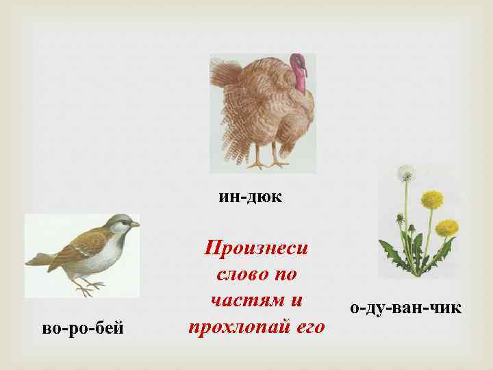 ин-дюк во-ро-бей Произнеси слово по частям и прохлопай его о-ду-ван-чик 