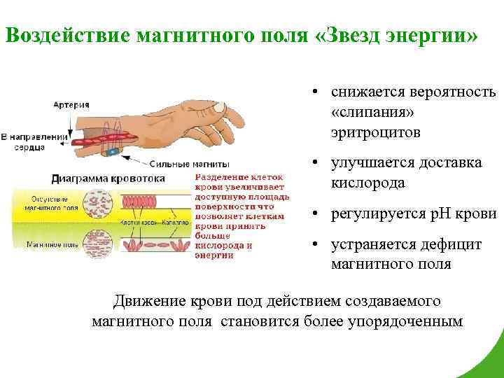 Воздействие магнитного поля «Звезд энергии» • снижается вероятность «слипания» эритроцитов • улучшается доставка кислорода