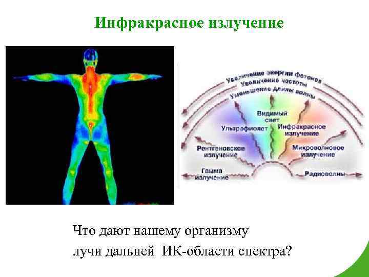 Инфракрасное излучение Что дают нашему организму лучи дальней ИК-области спектра? 