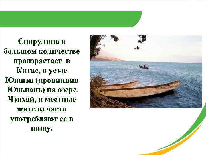 Спирулина в большом количестве произрастает в Китае, в уезде Юншэн (провинция Юньнань) на озере