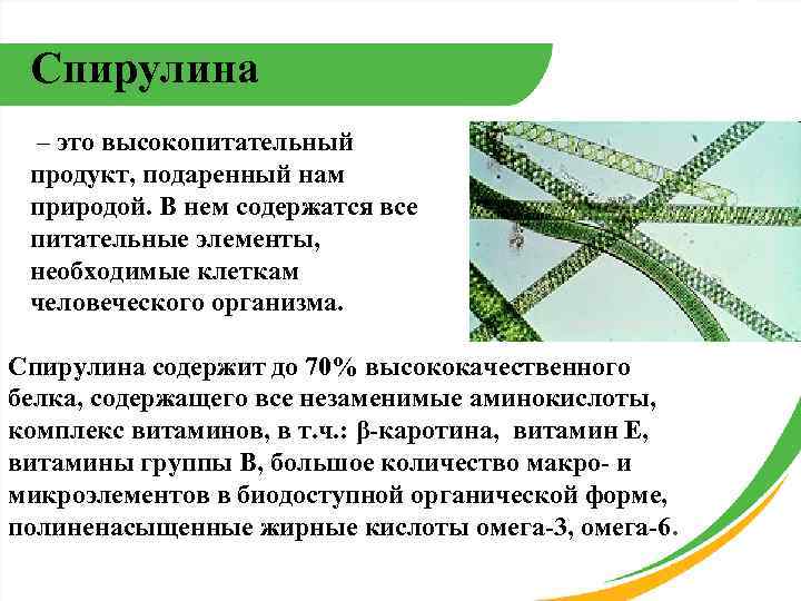 Спирулина – это высокопитательный продукт, подаренный нам природой. В нем содержатся все питательные элементы,