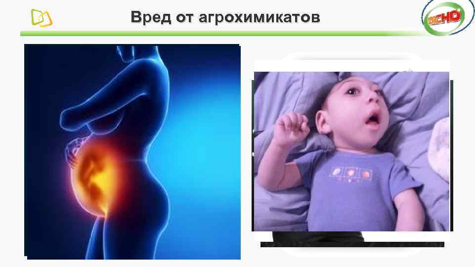 Вред от агрохимикатов 