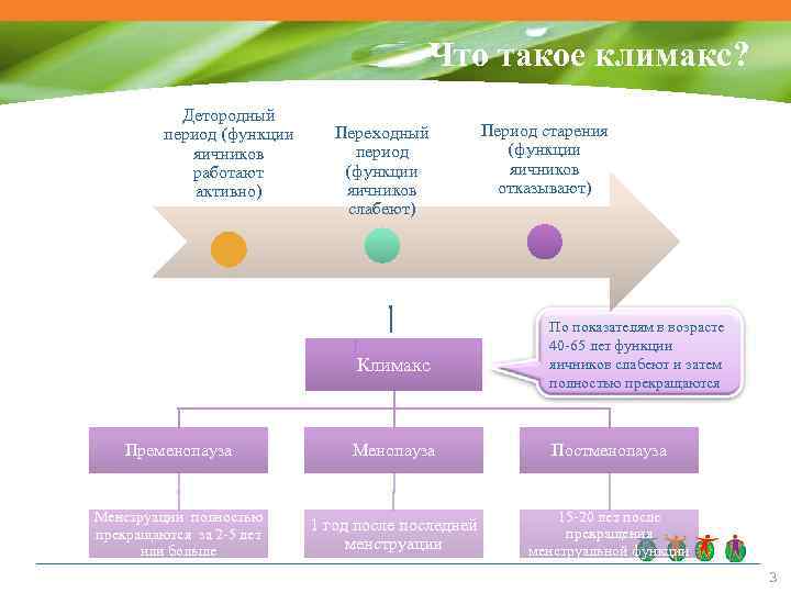 Что такое климакс? Детородный период (функции яичников работают активно) Переходный период (функции яичников слабеют)