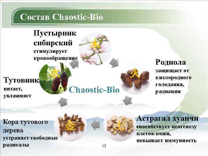 Состав Chaostic-Bio Пустырник сибирский стимулирует кровообращение Тутовник 木 Родиола 水 питает, увлажняет Кора тутового