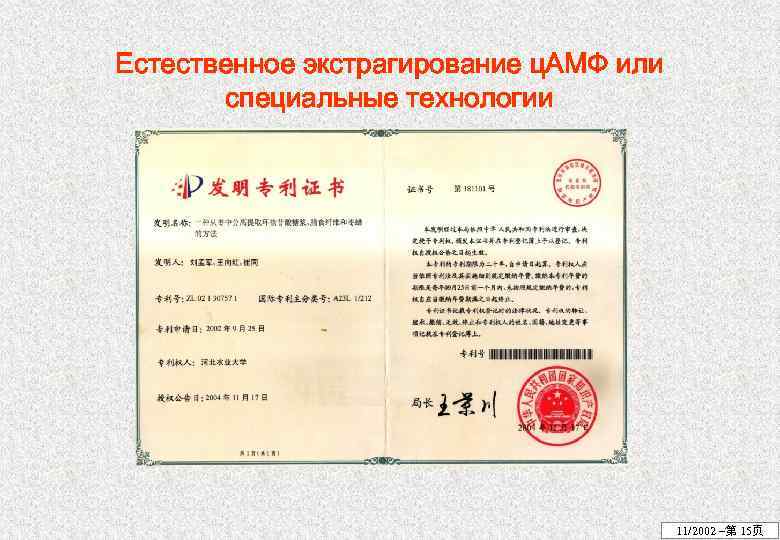 Естественное экстрагирование ц. АМФ или специальные технологии 11/2002 –第 15页 