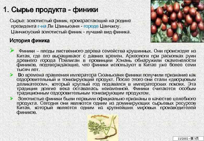 1. Сырье продукта - финики Сырье: золотистый финик, произрастающий на родине президента г-на Ли