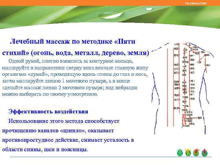 ru. tiens. com Лечебный массаж по методике «Пяти стихий» (огонь, вода, металл, дерево, земля)