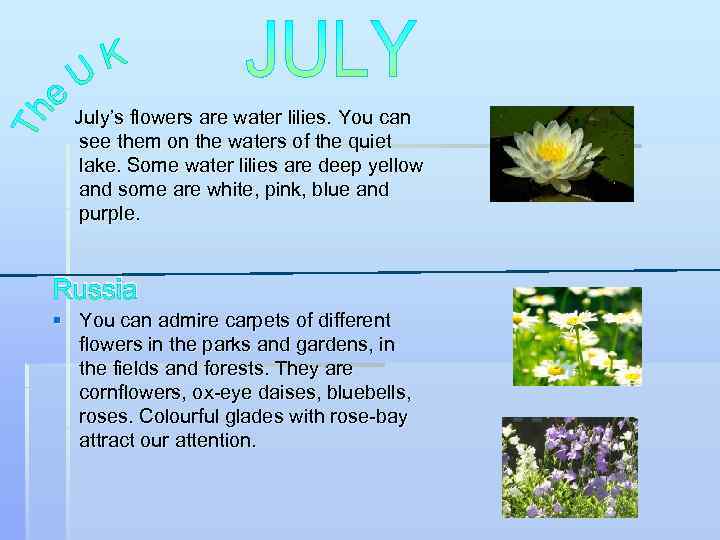 July’s flowers are water lilies. You can see them on the waters of the