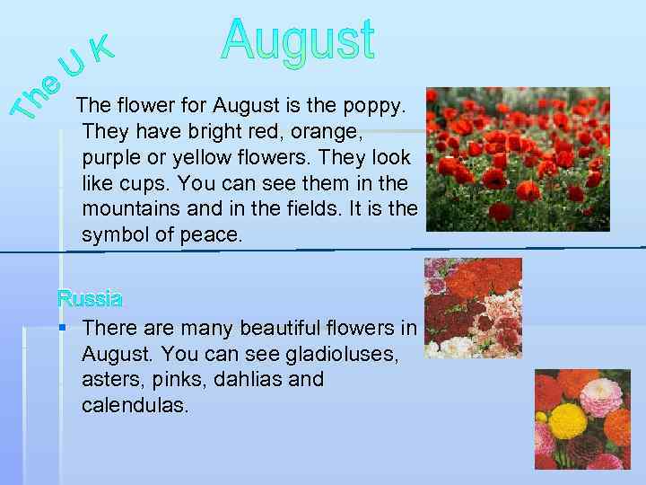 The flower for August is the poppy. They have bright red, orange, purple or