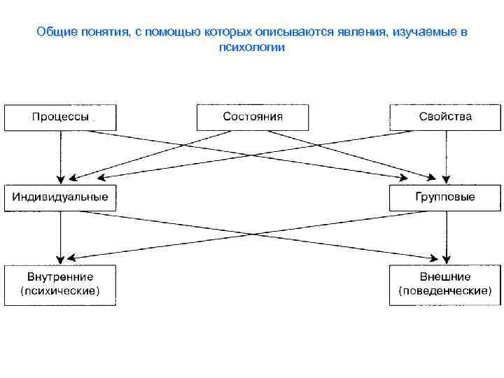 Общие понятия, с помощью которых описываются явления, изучаемые в психологии 