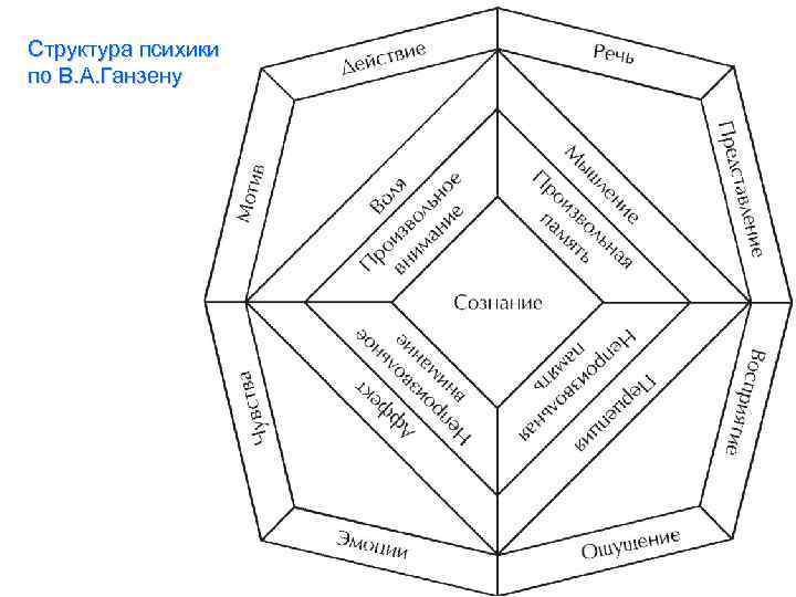 Структура психики по В. А. Ганзену 
