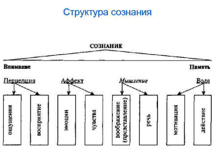 Структура сознания 