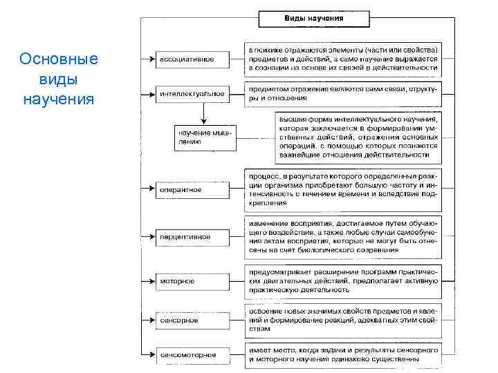 Основные виды научения 