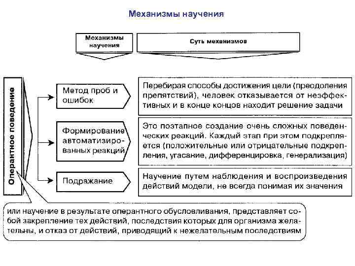 Механизмы научения 