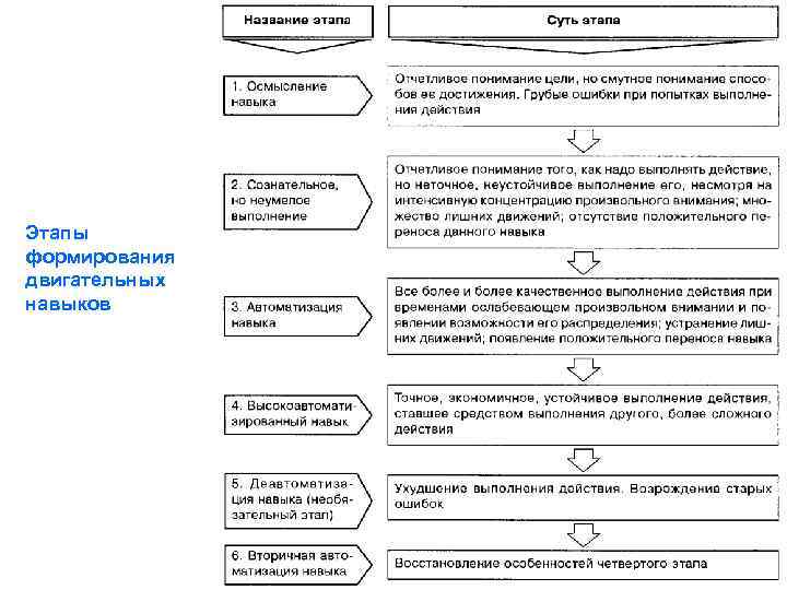 Этапы формирования двигательных навыков 