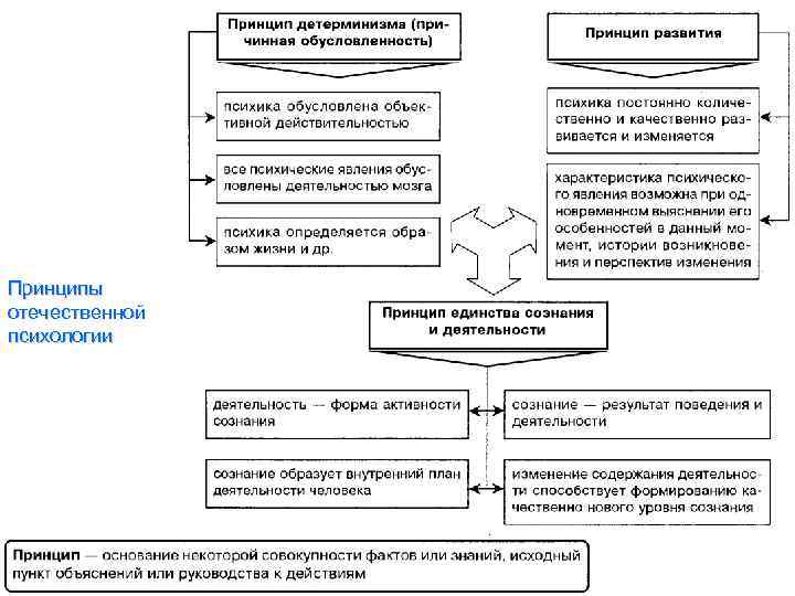Принципы отечественной психологии 