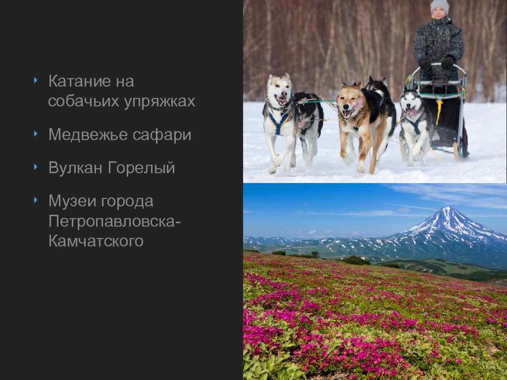 ‣ Катание на собачьих упряжках ‣ Медвежье сафари ‣ Вулкан Горелый ‣ Музеи города