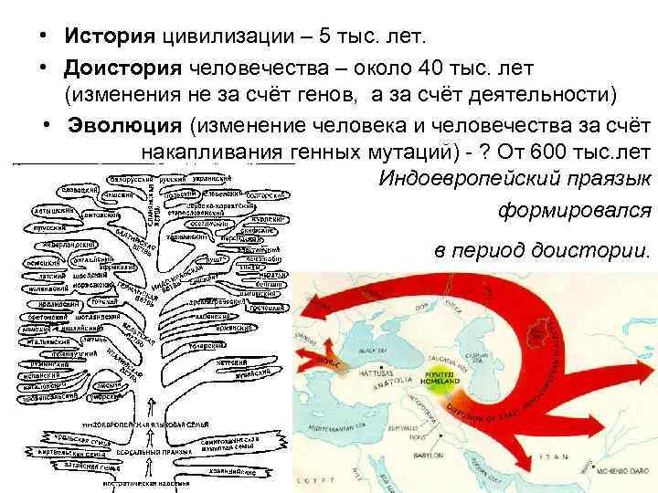  • История цивилизации – 5 тыс. лет. • Доистория человечества – около 40