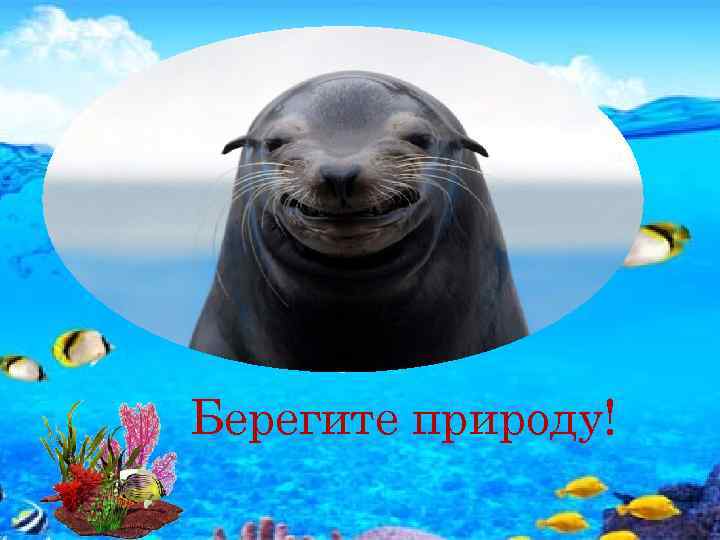 Берегите природу! 