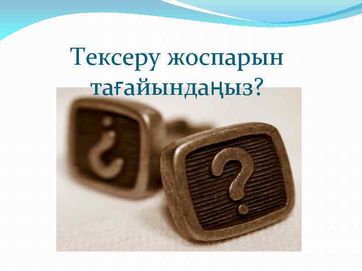 Тексеру жоспарын тағайындаңыз? 