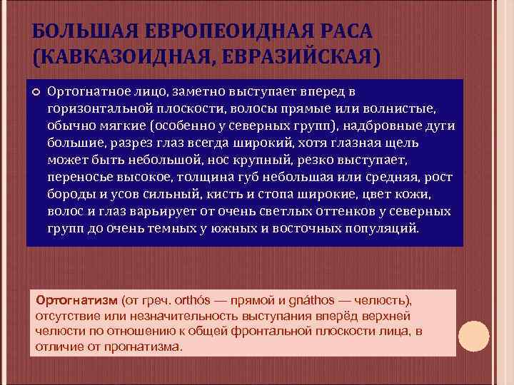 БОЛЬШАЯ ЕВРОПЕОИДНАЯ РАСА (КАВКАЗОИДНАЯ, ЕВРАЗИЙСКАЯ) Ортогнатное лицо, заметно выступает вперед в горизонтальной плоскости, волосы