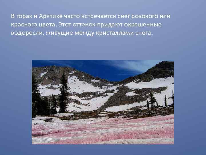 В горах и Арктике часто встречается снег розового или красного цвета. Этот оттенок придают