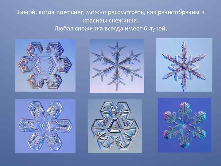 Зимой, когда идет снег, можно рассмотреть, как разнообразны и красивы снежинки. Любая снежинка всегда