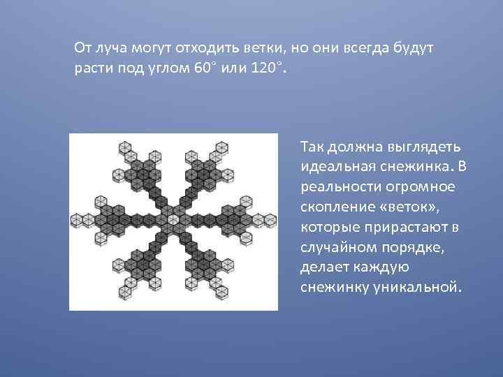 От луча могут отходить ветки, но они всегда будут расти под углом 60° или