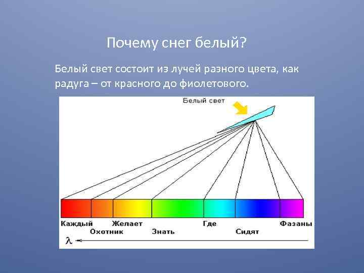 Что может состоять из света слов людей