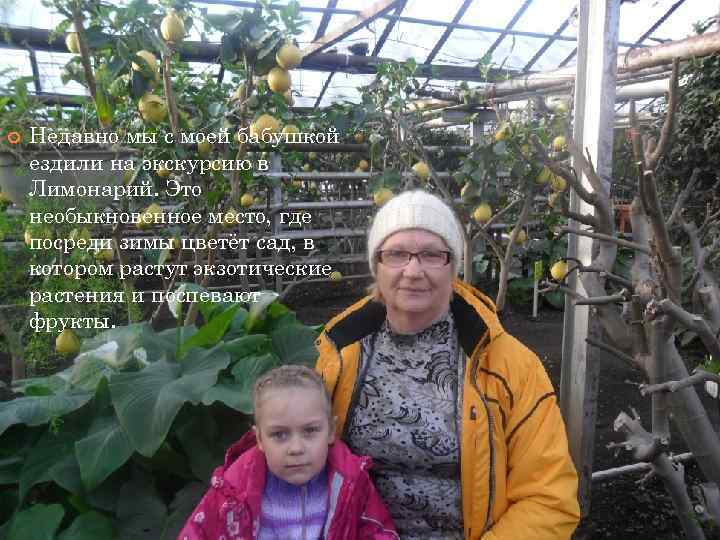  Недавно мы с моей бабушкой ездили на экскурсию в Лимонарий. Это необыкновенное место,