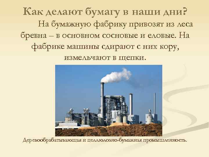 Как делают бумагу в наши дни? На бумажную фабрику привозят из леса бревна –