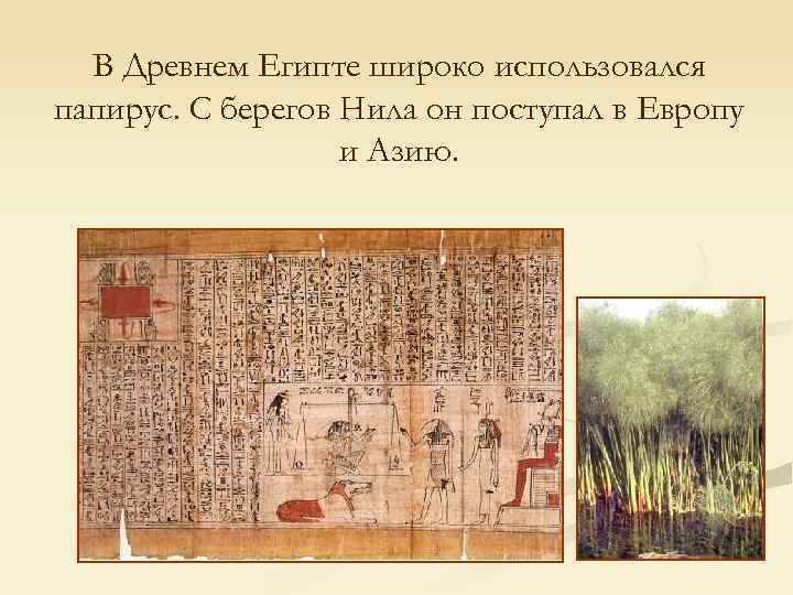 В Древнем Египте широко использовался папирус. С берегов Нила он поступал в Европу и