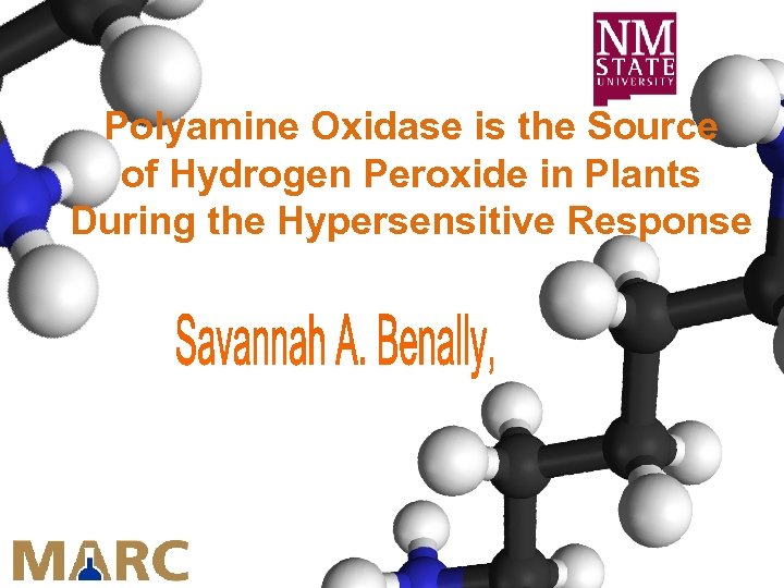 Polyamine Oxidase is the Source of Hydrogen Peroxide in Plants During the Hypersensitive Response