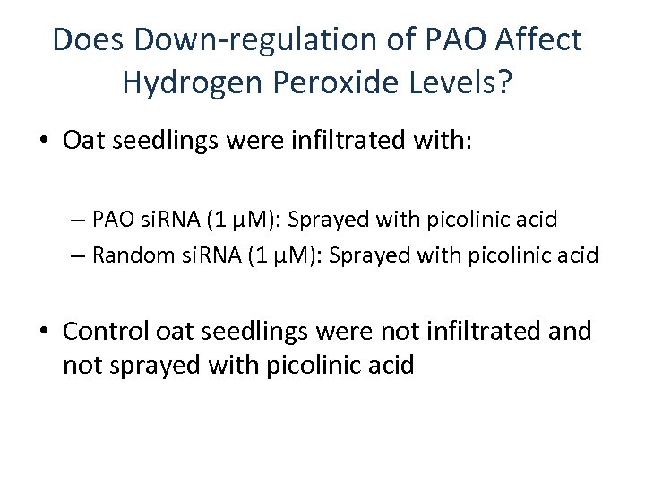Does Down-regulation of PAO Affect Hydrogen Peroxide Levels? • Oat seedlings were infiltrated with:
