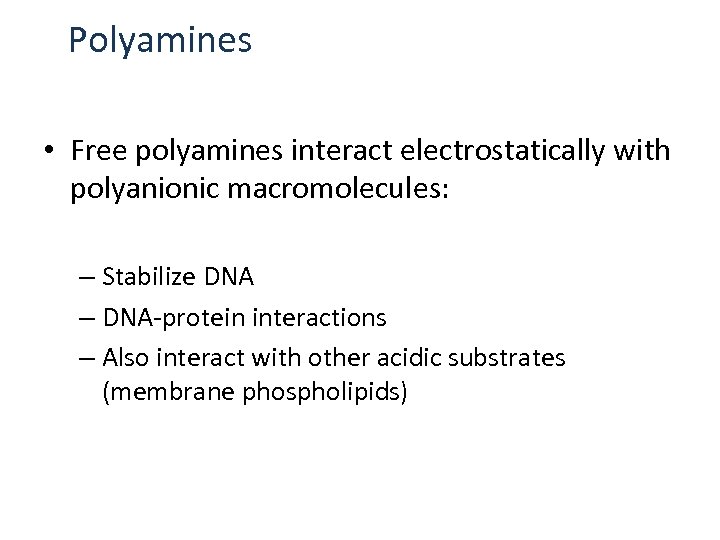 Polyamines • Free polyamines interact electrostatically with polyanionic macromolecules: – Stabilize DNA – DNA-protein