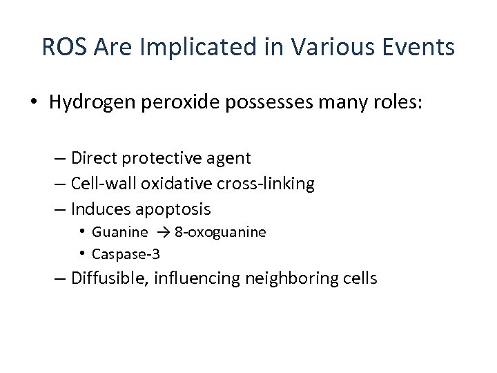 ROS Are Implicated in Various Events • Hydrogen peroxide possesses many roles: – Direct