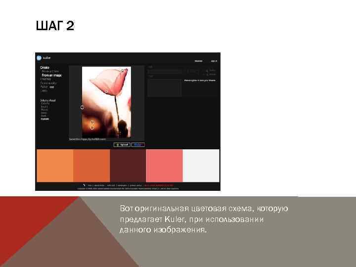 ШАГ 2 Вот оригинальная цветовая схема, которую предлагает Kuler, при использовании данного изображения. 