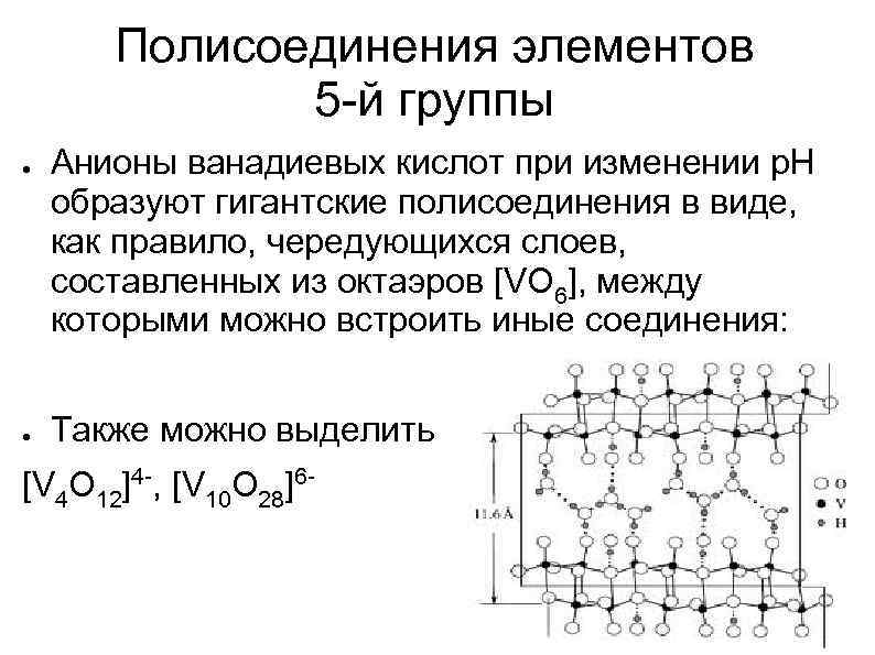 Полисоединения элементов 5 -й группы ● ● Анионы ванадиевых кислот при изменении р. Н