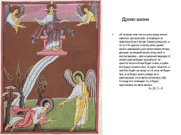 Древо жизни • «И показал мне чистую реку воды жизни, светлую, как кристалл, исходящую