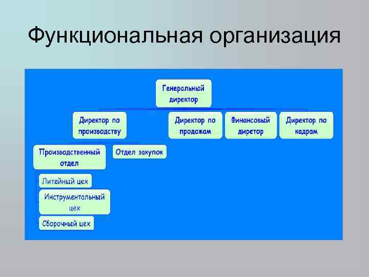 Функциональная организация 