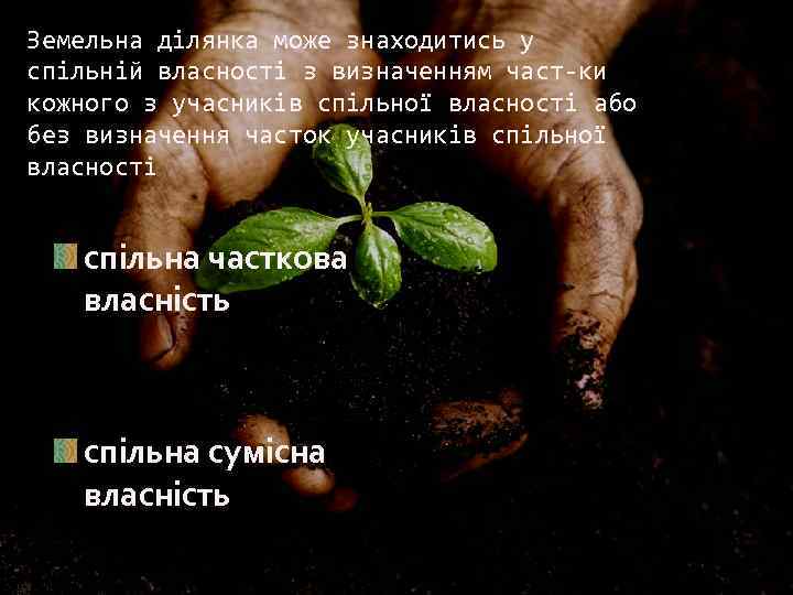 Земельна ділянка може знаходитись у спільній власності з визначенням част ки кожного з учасників