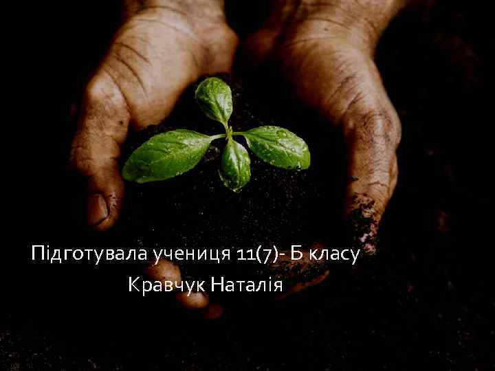  Підготувала учениця 11(7) Б класу Кравчук Наталія 