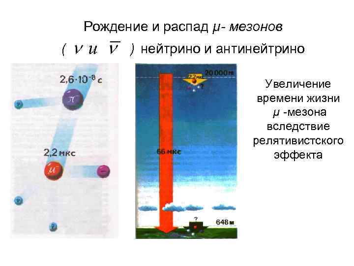 Рождение и распад µ- мезонов ( ) нейтрино и антинейтрино Увеличение времени жизни µ