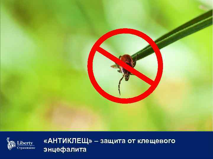  «АНТИКЛЕЩ» – защита от клещевого энцефалита 