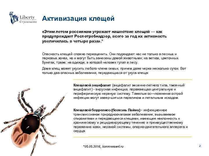 Активизация клещей «Этим летом россиянам угрожает нашествие клещей — как предупреждает Роспотребнадзор, всего за