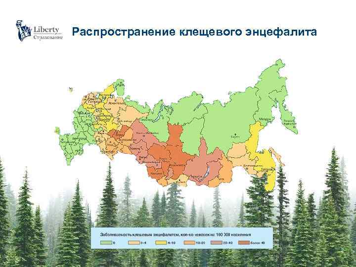 Распространение клещевого энцефалита 3 
